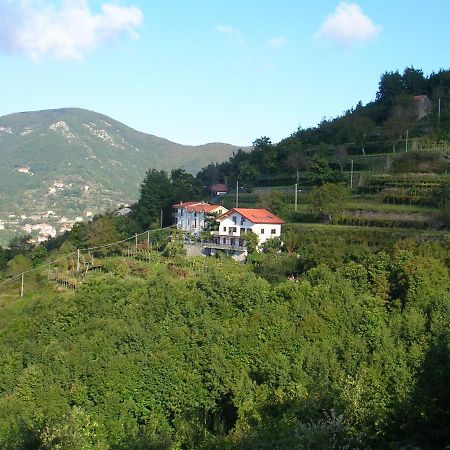 Agriturismo Il Castagno Agerola Exterior foto