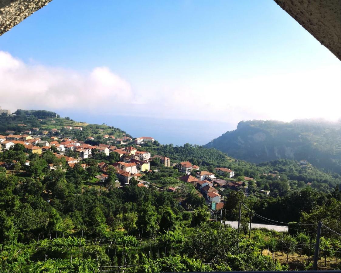 Agriturismo Il Castagno Agerola Exterior foto