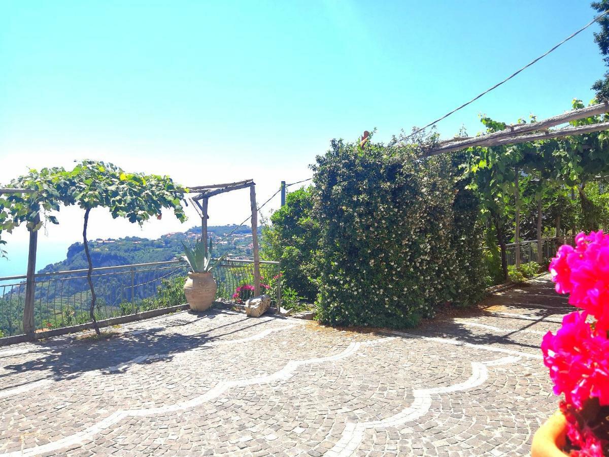 Agriturismo Il Castagno Agerola Exterior foto