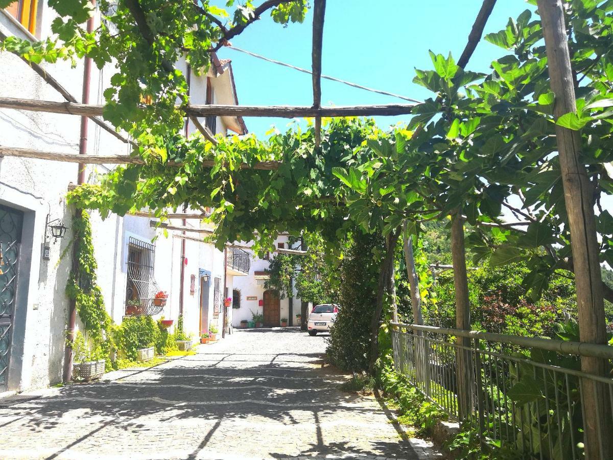 Agriturismo Il Castagno Agerola Exterior foto
