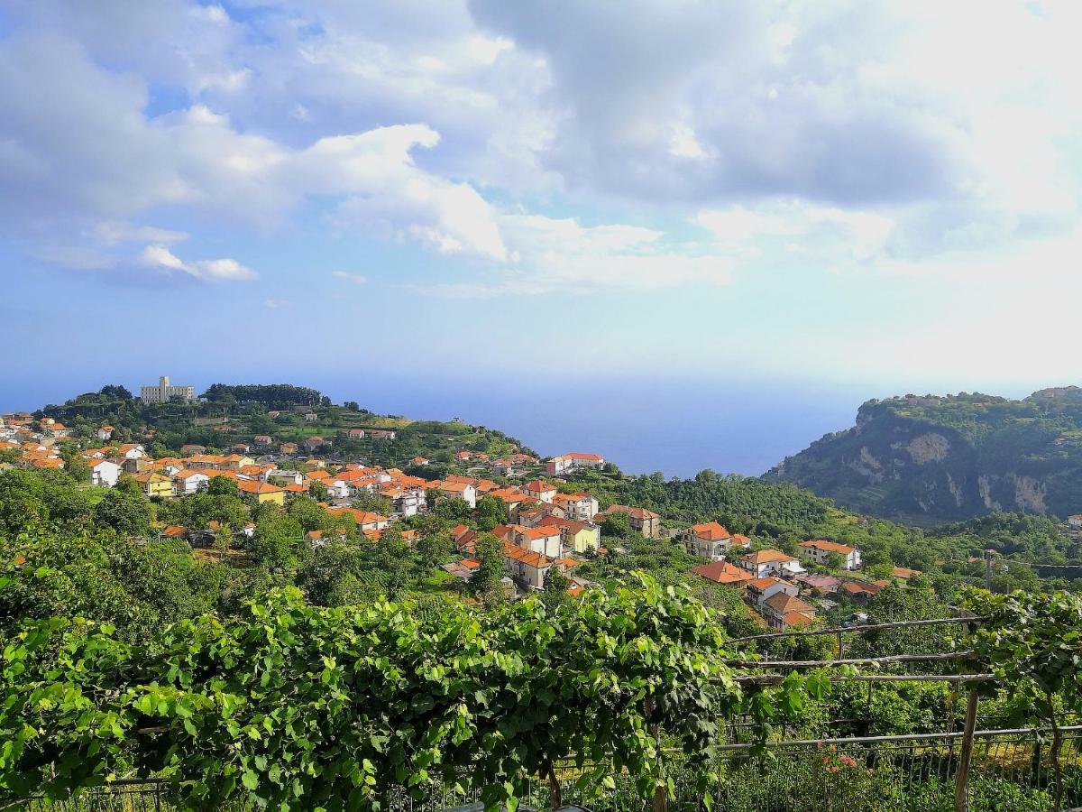 Agriturismo Il Castagno Agerola Exterior foto